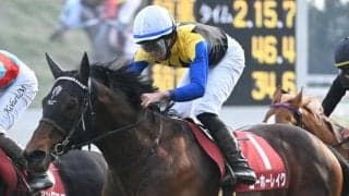 【京都記念】売上は68億3022万3900円で昨年より約16.6億円増加