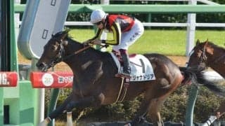 【大井・雲取賞枠順】連勝中のジャナドリアは4枠4番、ハイセイコー記念6馬身差Vのスマイルマンボは5枠5番