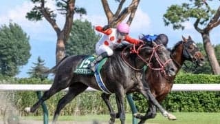 【先週のJRA抹消馬】22年レパードS覇者カフジオクタゴン、単発重賞の神奈川記念を制したヴィブラフォンなど