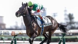 【ダイヤモンドS想定騎手】ヘデントールは戸崎圭太騎手、ワープスピードは横山武史騎手