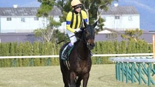 【阪急杯想定騎手】ソーダズリングは浜中俊騎手、ダノンマッキンリーは北村友一騎手