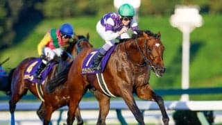 【AI予想・フェブラリーS】東京のダート重賞で実績を残す馬には注意！ 本命候補は重賞で実績豊富な3頭