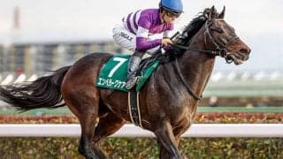 【フェブラリーS想定騎手】エンペラーワケアは横山武史騎手、ミッキーファイトは戸崎圭太騎手