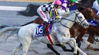 フェブラリーS史上初のダート未勝利馬Vへ 昨年2着の人馬が初GIタイトルを狙う