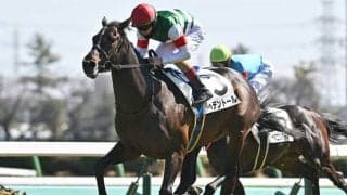 【ダイヤモンドS展望】条件クリアする菊花賞2着馬ヘデントールが中心