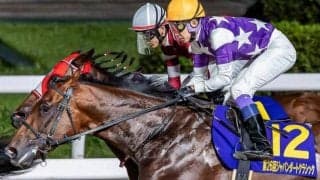 厩舎解散迫る音無厩舎 調教師のフェブラリーS最高齢V狙い3頭が参戦