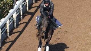 ミュージアムマイルなど、先週の入厩情報/栗東トレセンニュース