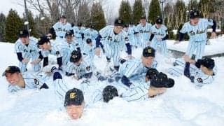 走攻守そろう東海大札幌を選出　選抜高校野球　北海道選考経過
