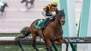 【フェブラリーS予想オッズ】コスタノヴァが予想1番人気