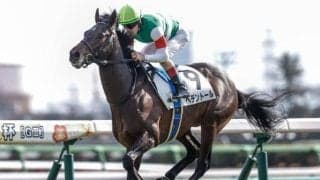 【ダイヤモンドS予想オッズ】ヘデントールが予想1番人気