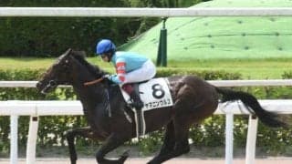 【小倉大賞典予想オッズ】ヤマニンウルスが予想1番人気