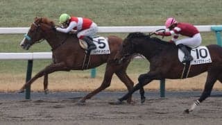 【新馬/京都2R】良血ショウナンサエッタがデビューV