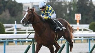 【阪急杯予想オッズ】フォーチュンタイムが予想1番人気