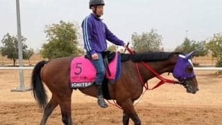 【リヤドダートスプリント】イグナイター最終追い切り…新子師「ひと泡吹かせたい」