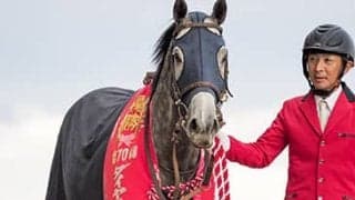 ミライヘノツバサのシンガリ人気Vから5年 活躍し続ける青森県産馬を紹介