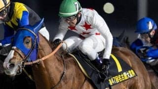 史上初のJRAダートGIきょうだい制覇へ 重賞2勝のドレフォン産駒がフェブラリーSで偉業達成狙う