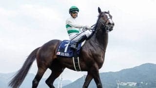 【中山記念想定】ソウルラッシュ、シックスペンスなど15頭