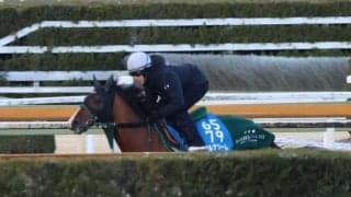 アルナシーム、中山記念1週前追い切り速報/栗東トレセンニュース