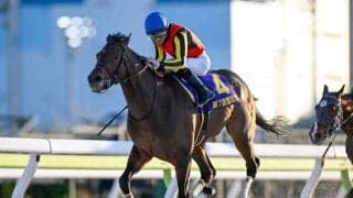 【大井・雲取賞結果】ジャナドリアが無傷3連勝で重賞初制覇！