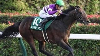 ダートの連対率は100％ 期待のロードカナロア産駒がGI初制覇目指しフェブラリーS参戦