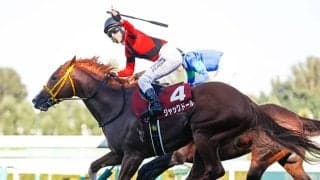 23年の大阪杯覇者ジャックドールが登録抹消 種牡馬入りへ