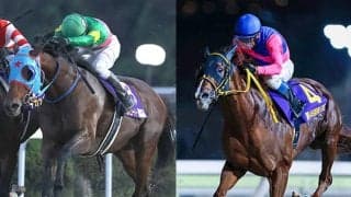 フェブラリーS史上最高齢Vへ JpnI覇者の古豪2頭が歴史を変えるか