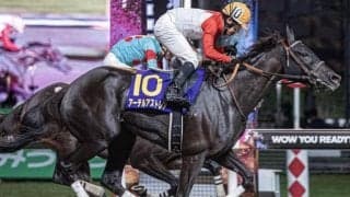 ホクトベガ以来の牝馬Vへ フェブラリーSに横山典弘騎手とアーテルアストレアが参戦