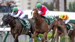 【フェブラリーS予想】上半期のダート王決定戦 先週推奨馬が快勝した絶好調AIが挙げた伏兵とは