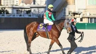 【雲取賞】矢野「よく頑張っています」地方最先着はスマイルマンボの3着