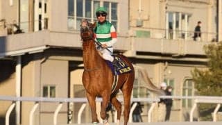 【雲取賞】戸崎「課題がある中で頑張ってくれた」グランジョルノはしぶとく伸びて2着