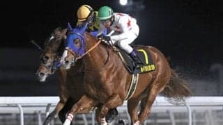 【フェブラリーS展望】条件満たす4歳馬ミッキーファイトが狙い目