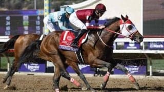 【サウジC枠順】フォーエバーヤングは14番ゲート、ロマンチックウォリアーは3番ゲート