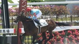 【小倉大賞典展望】波乱傾向のハンデ戦、前走重賞からの距離短縮馬が狙い目