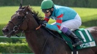 小倉大賞典史上初の初芝での戴冠へ 鮮烈デビューの地・小倉の一戦にヤマニンウルスが参戦