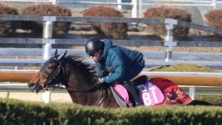 マイエレメント、チューリップ賞1週前追い切り速報/栗東トレセンニュース