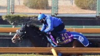 ソウルラッシュ、中山記念1週前追い切り速報/栗東トレセンニュース