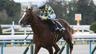 【阪急杯出走馬・騎手確定】フォーチュンタイム＆岩田望来騎手、ダノンマッキンリー＆北村友一騎手など18頭