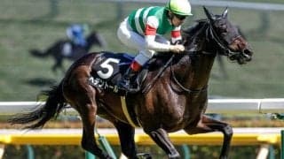 【ダイヤモンドS出走馬・騎手確定】ヘデントール＆戸崎圭太騎手、ワープスピード＆横山武史騎手など16頭