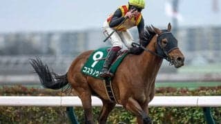 【フェブラリーS・調教後馬体重】コスタノヴァは499kg、ミッキーファイトは562kg