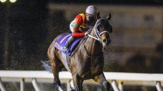 グロリアムンディが登録抹消、地方移籍へ 23年にダイオライト記念と平安S制す