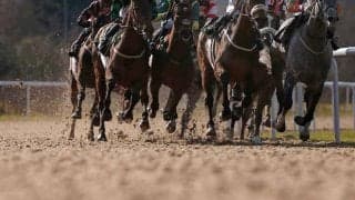 【フェブラリーS／全頭診断】前走5着以下に“馬券内率80％”該当　ウィリアムバローズは外枠なら押さえ必須か