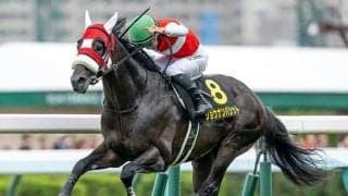 JRA重賞馬の史上最高額更新へ 2.6億円シルバーステート産駒がダイヤモンドSに参戦
