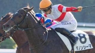 3.1億円キタサンブラック産駒 春の大舞台に向け負けられない一戦