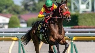 前走初ダートで快勝 リアルスティール＆ラヴズオンリーユーの半弟が連勝狙う