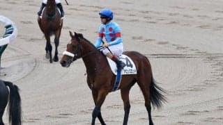アーモンドアイ初仔・超良血アロンズロッドが骨折で春は全休