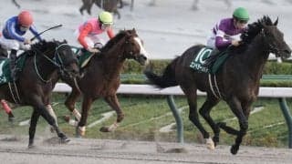 【フェブラリーS】エンペラーワケアはプラス14kg…調教後の馬体重