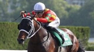 グロリアムンディの競走馬登録抹消…地方へ移籍予定