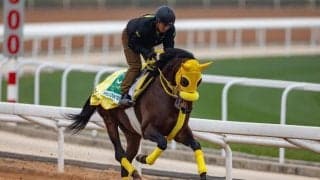 【サウジカップ】高木師「前につけるには良い枠」ウィルソンテソーロは4番ゲート