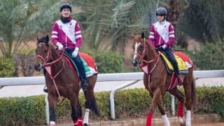 【サウジカップ】フォーエバーヤングは14番ゲートへ…日本馬4頭出走