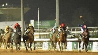 パンサラッサVの23年より2.5億円上昇!? 今年のサウジCは1着賞金15億円超えだ